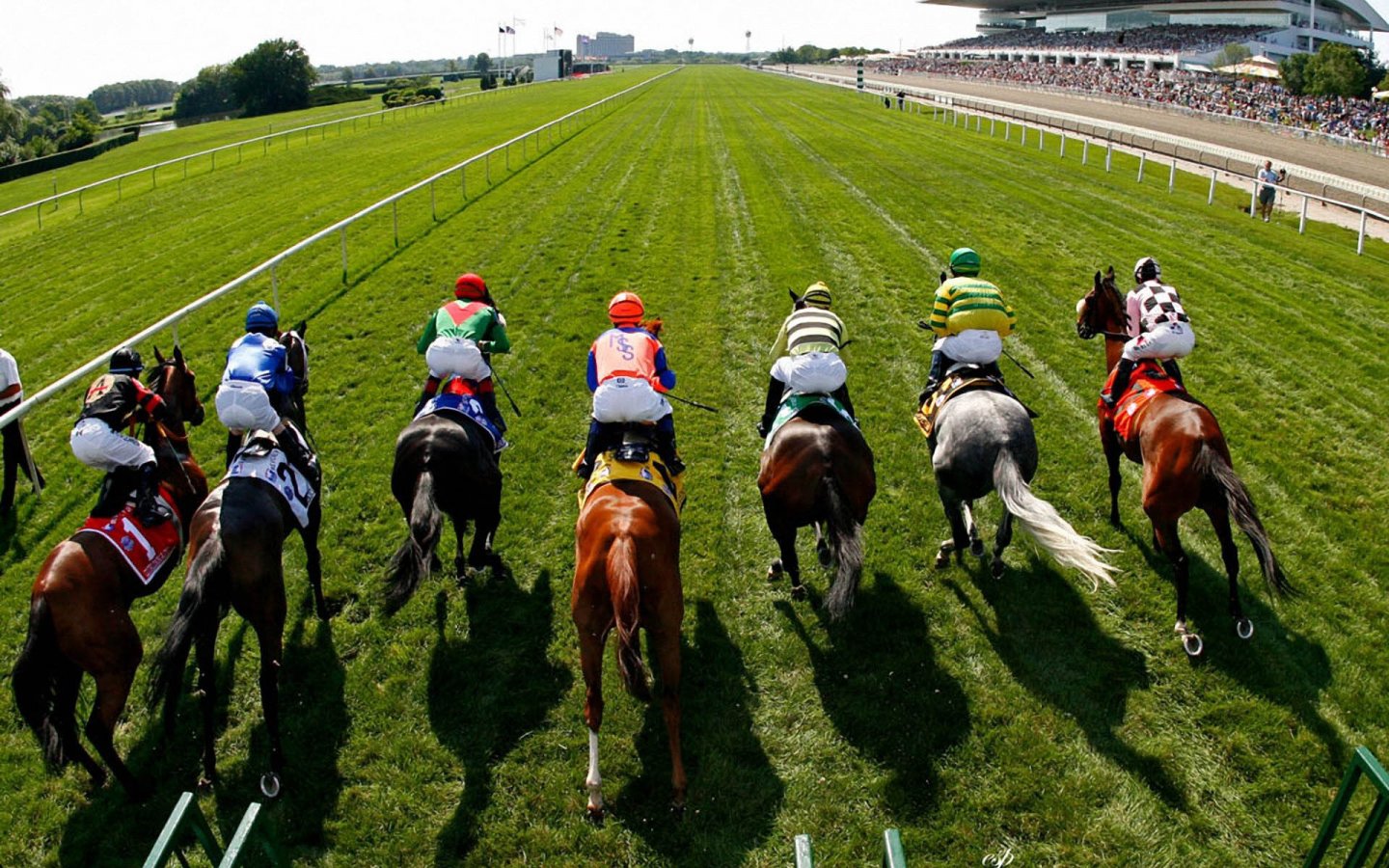 Horse Racing Best Bets Horse Racing Best Bets