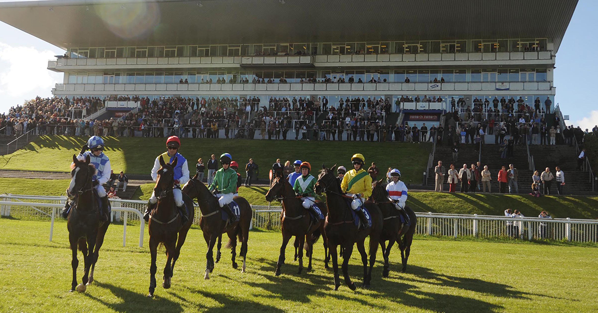 Limerick Races Limerick - A Guide To Irish Flat Racecourses - Betadvisor